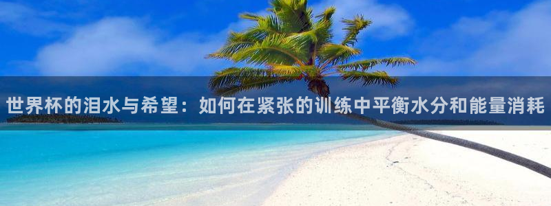 世界杯比赛：世界杯的泪水与希望：如何在紧张的训练中平衡水分和能量消耗