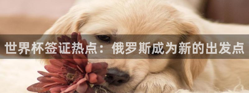 世界杯小组赛赛程：世界杯签证热点：俄罗斯成为新的出发点