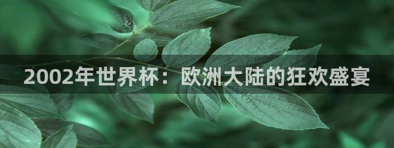 世界杯：2002年世界杯：欧洲大陆的狂欢盛宴
