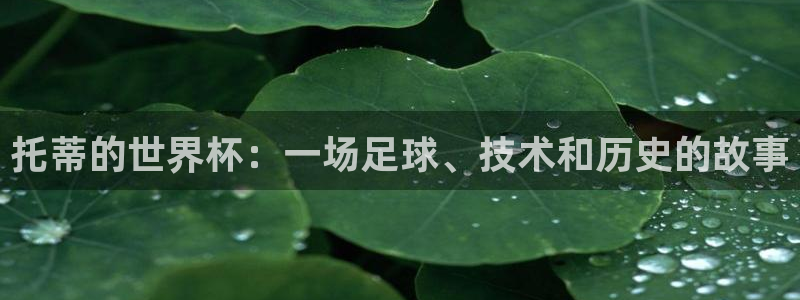 世界杯直播时间：托蒂的世界杯：一场足球、技术和历史的故事