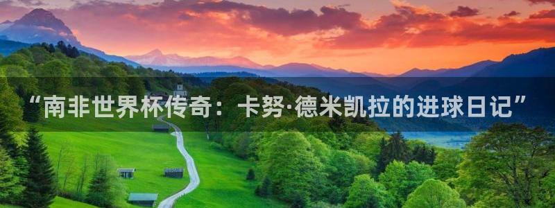 世界杯预选赛排名：“南非世界杯传奇：卡努·德米凯拉的进球日记”