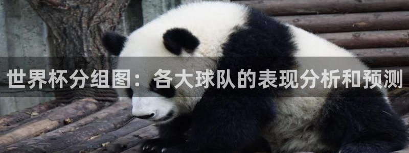 2026年世界杯对阵图：世界杯分组图：各大球队的表现分析和预测