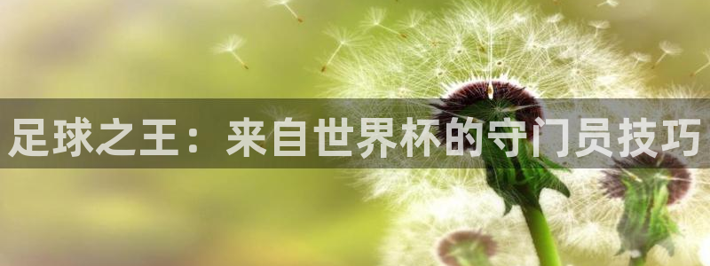世界杯决赛直播：足球之王：来自世界杯的守门员技巧