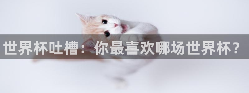 世界杯比赛：世界杯吐槽：你最喜欢哪场世界杯？
