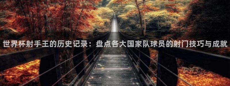 世界杯足球赛：世界杯射手王的历史记录：盘点各大国家队球员的射门技巧与成就
