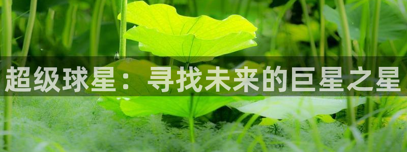 世界杯在线直播入口：超级球星：寻找未来的巨星之星