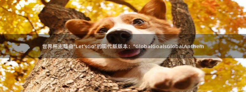 世界杯决赛圈球队：世界杯主题曲\