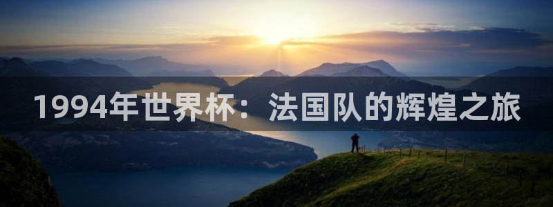 世界杯球赛：1994年世界杯：法国队的辉煌之旅